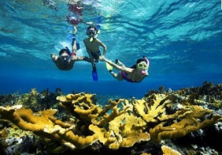 Snorkel en familia